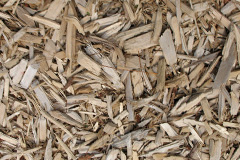 biomass boilers Leighton